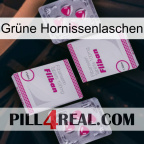 Grüne Hornissenlaschen 33